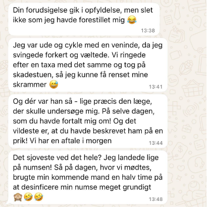Anmeldelse 2