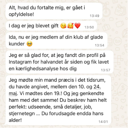 Anmeldelse 3